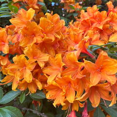 23-06-03 16-57-42 5808